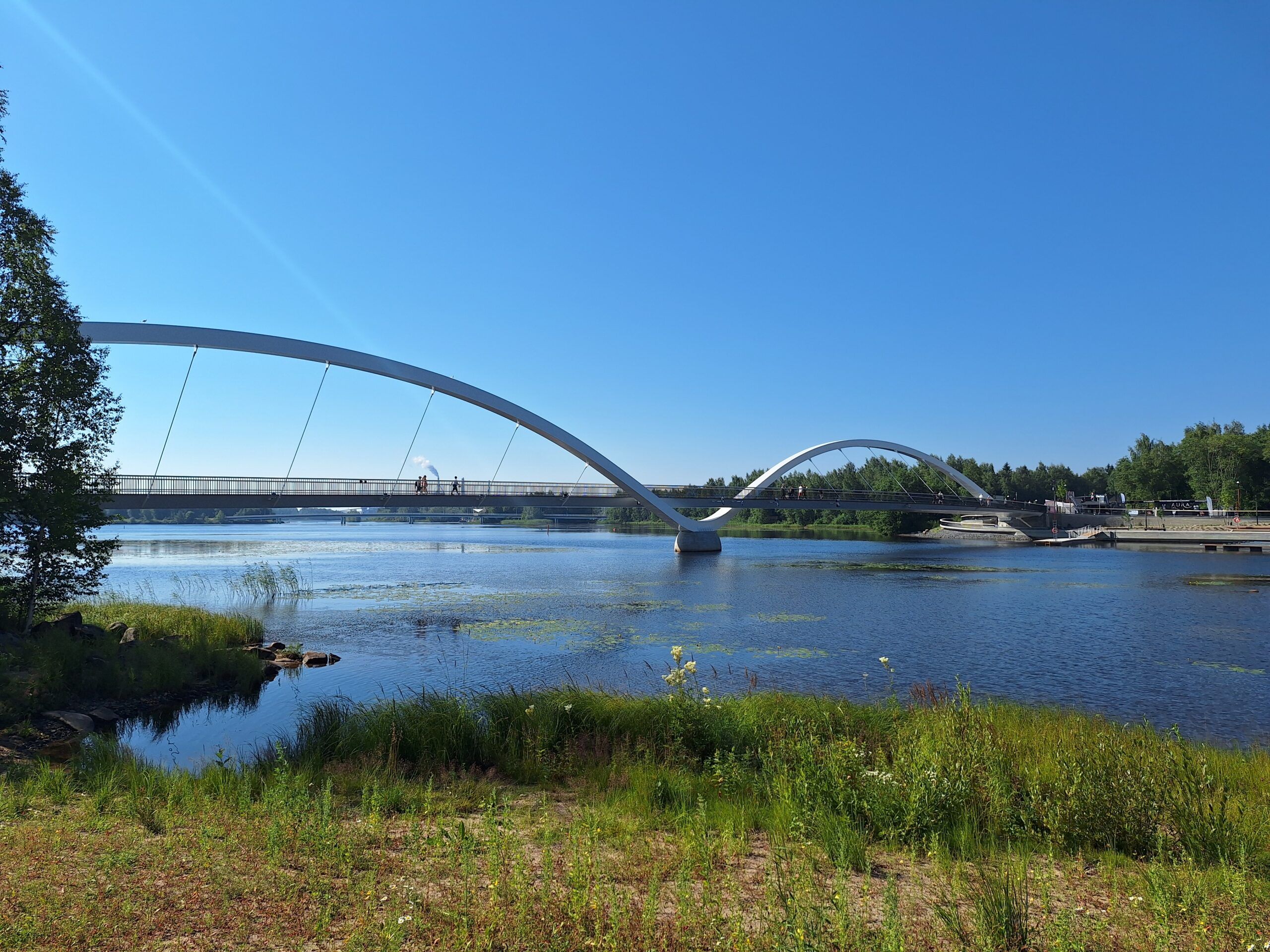 Kuvassa on Hartaansilta ja rantakasvillisuutta,