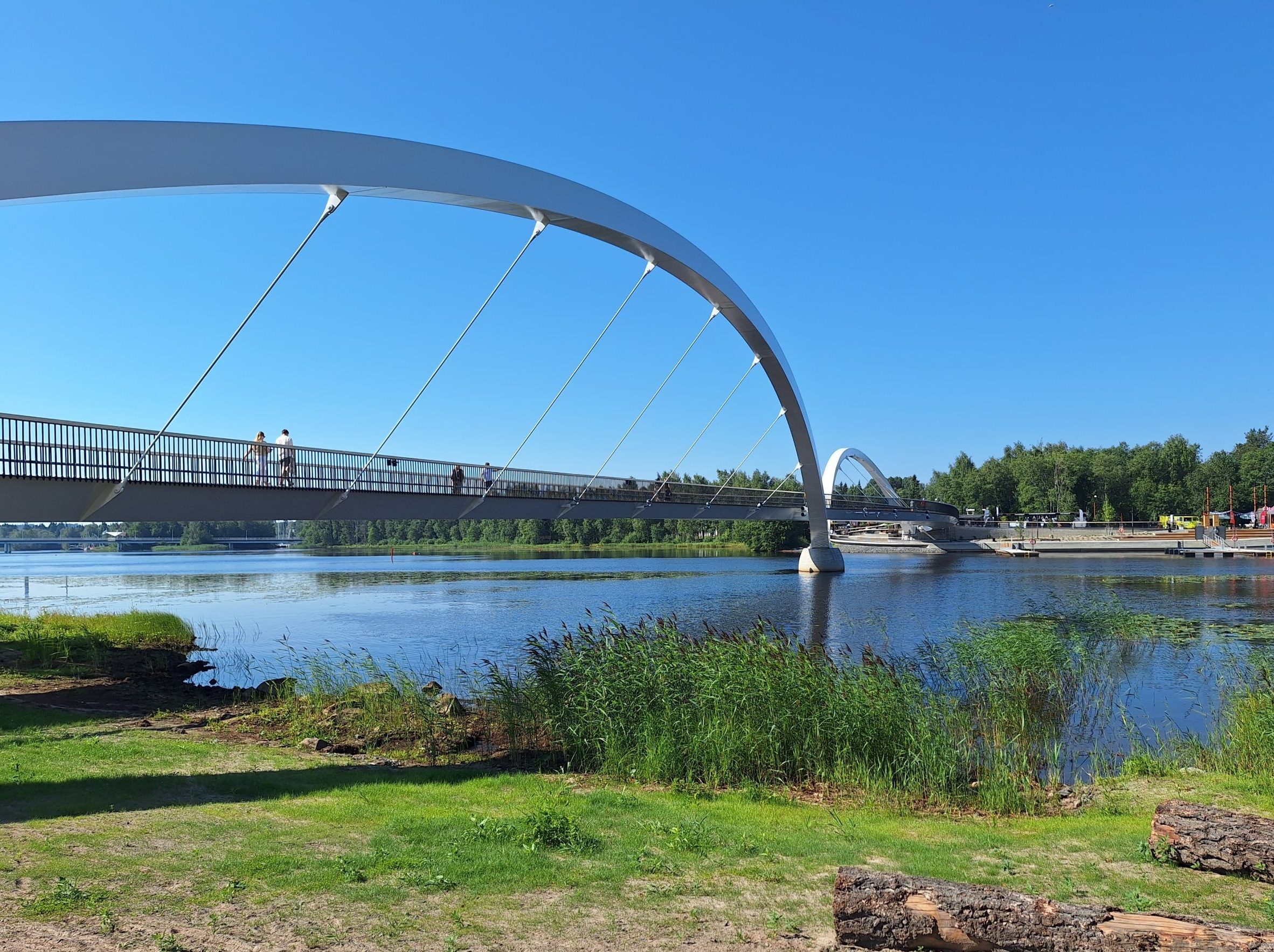 Kuvassa on Hartaansilta ja rantakasvillisuutta.